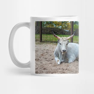 White Hungarian Grey cow Mug